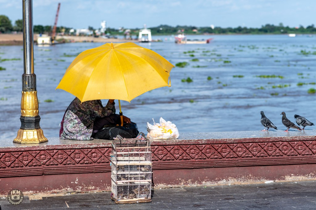 A person sitting by a river under a yellow umbrella, with a basket beside them and pigeons nearby.